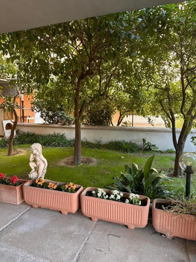 Ajoaolbia B&B Exterior foto